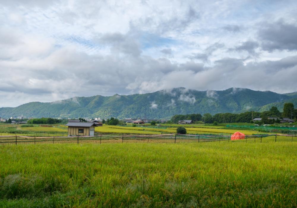 Arashiyama venkov, Kjóto (Japonsko)