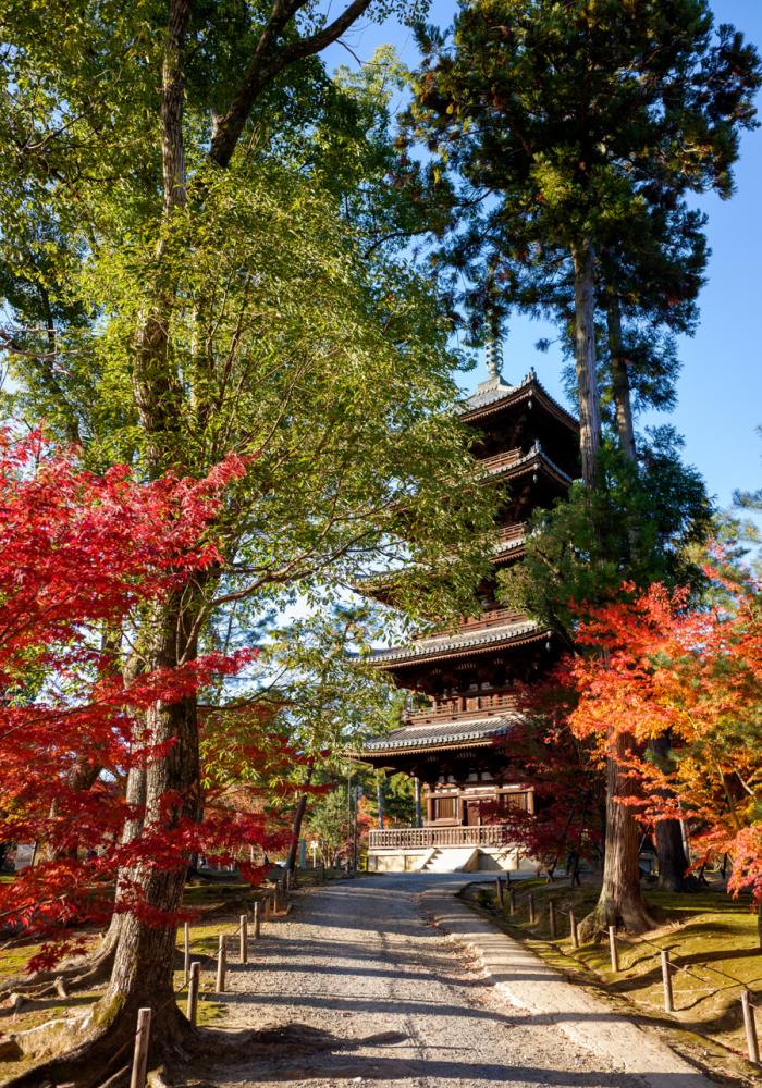 Ninna-ji, Kjóto (Japonsko)