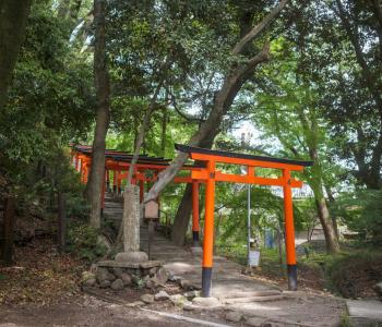 Svatyně Kamigamo, Kjóto (Japonsko)