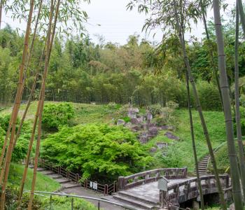 Muzeum bambusu, Kjóto (Japonsko)
