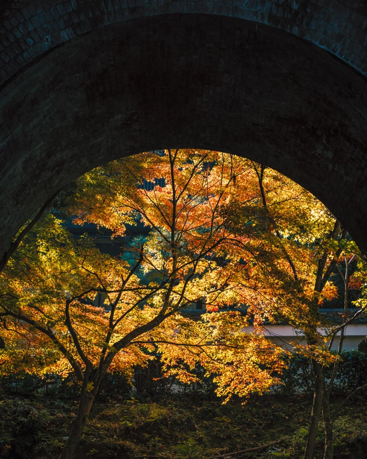 Podzim v Nanzen-ji