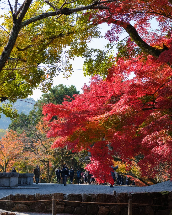 Podzim v Nanzen-ji