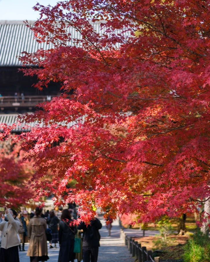 Podzim v Nanzen-ji