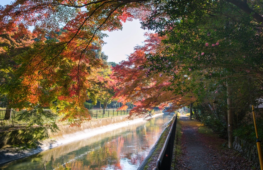 Biwa kanál podzim