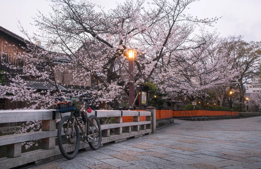 Gion sakury, Kjóto